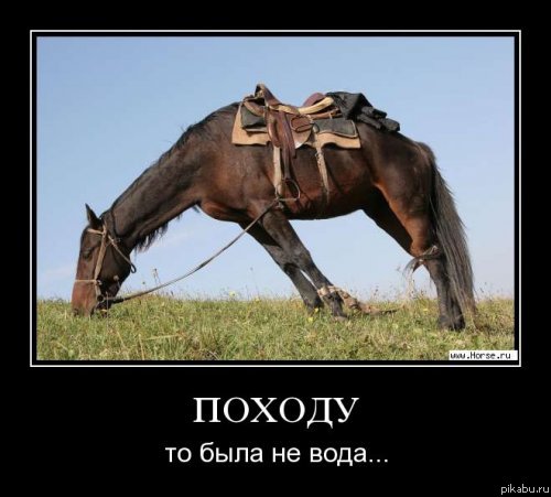 Доверяй, но проверяй !