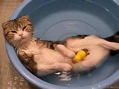 ���� � ������� ����� 2 !)))