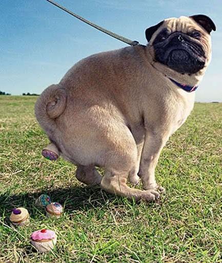 �� ������� ����� �� ������)