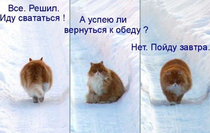 Война - войной, а обед по расписанию!