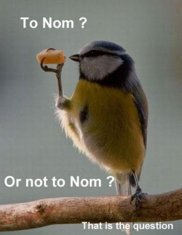 To nom or not to nom?      