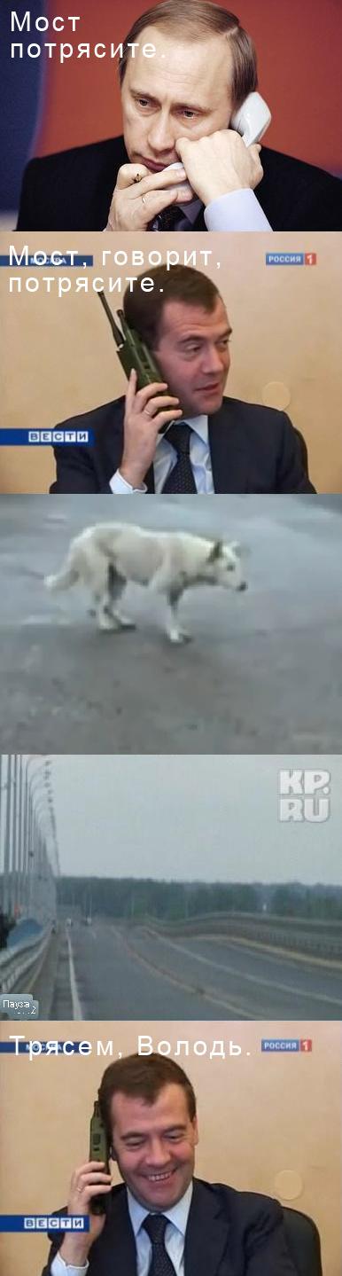���� ���������