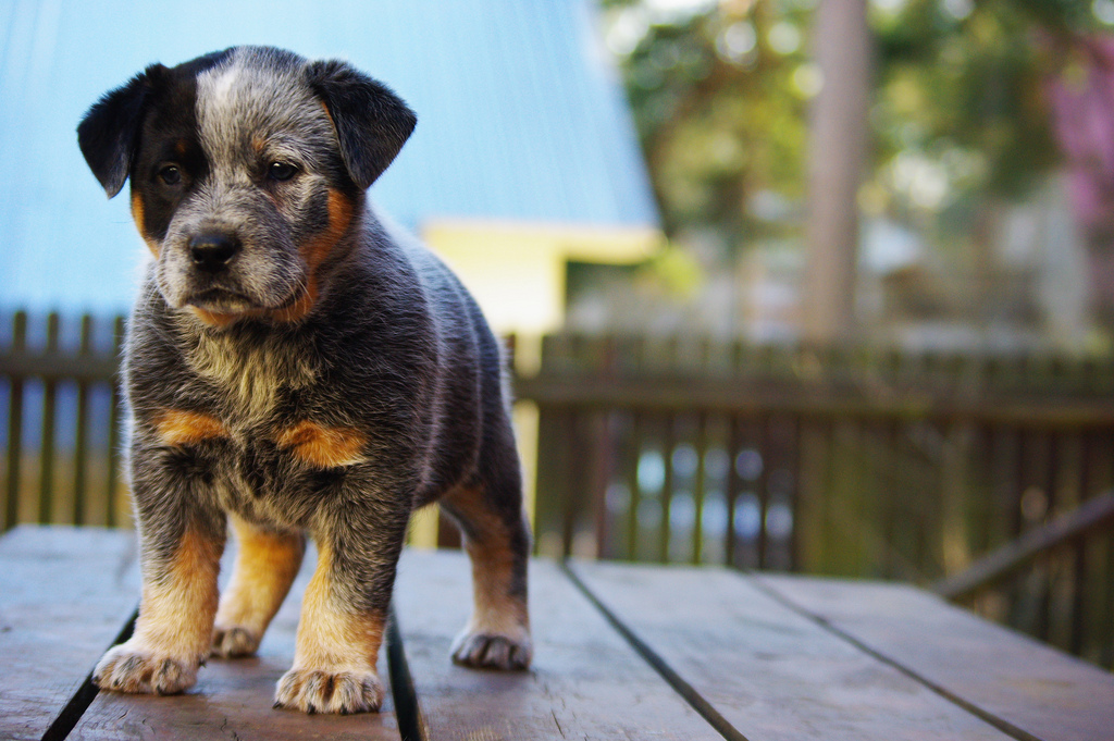 � ��� �������� ���� �����... � �������� ��� ���������.