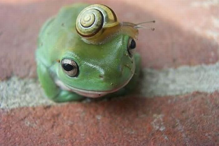 ��������� �� �������� ��������� ������ 