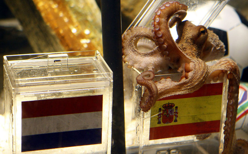 ������� ����� ������ �������� ���� 2010...