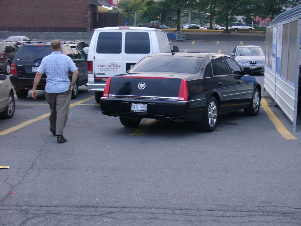 � ����������� ����������� ����.