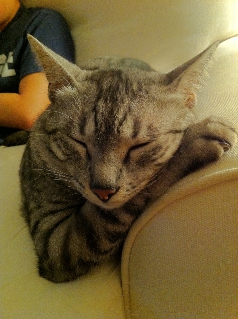 ��������� ��...