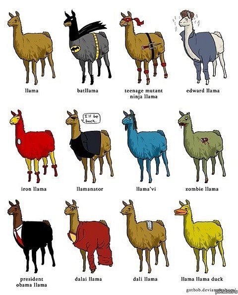 Ламы, они разные бывают!