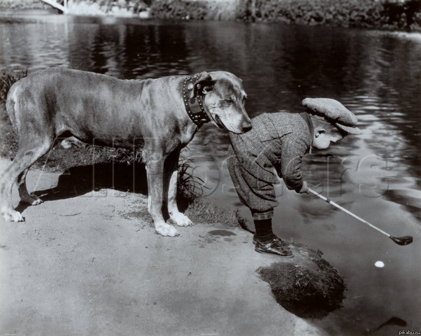 �� ������������