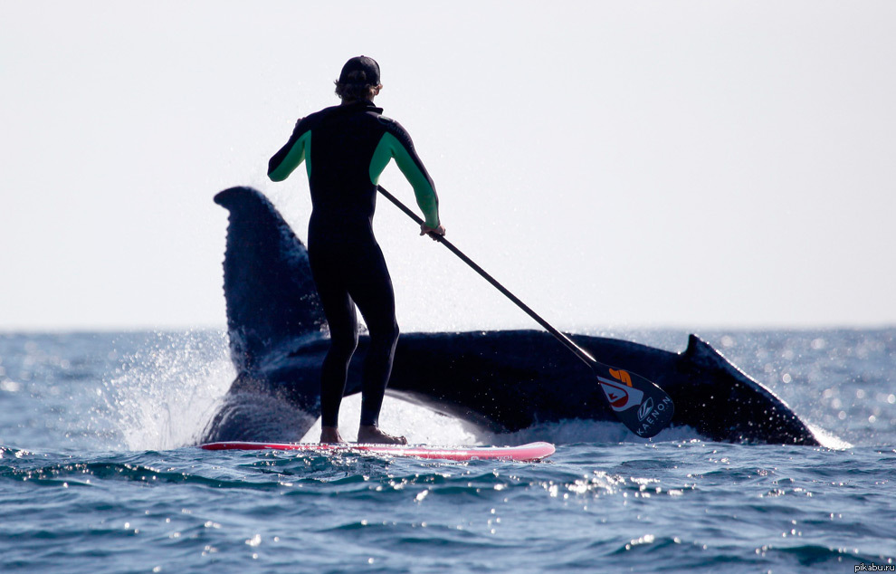 ��������...!