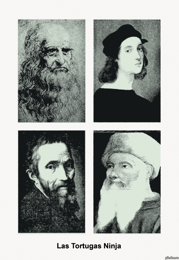помните черепашек ниндзя? | Пикабу