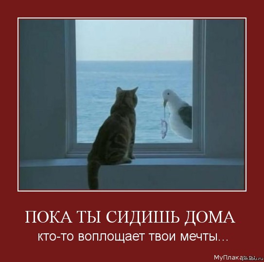 ���� �� ������ ����, ���-�� ��������� ���� �����