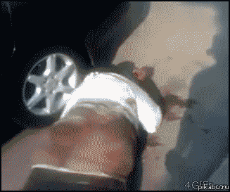 ���� ������ ����� ��� ��� ������ ������� �� ������.