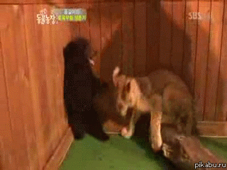 �-���...���!!!