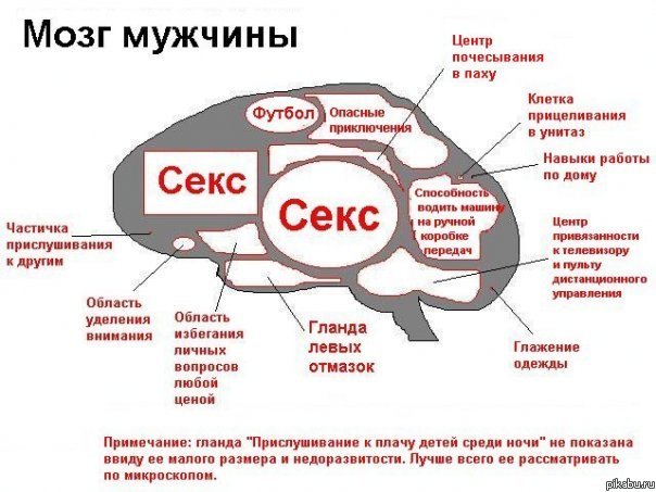 Сколько Стоит Час Секса