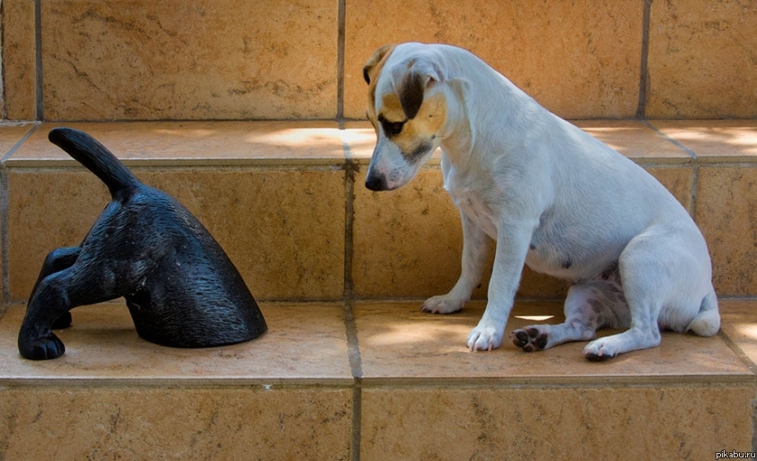 Как у тебя так получилось?