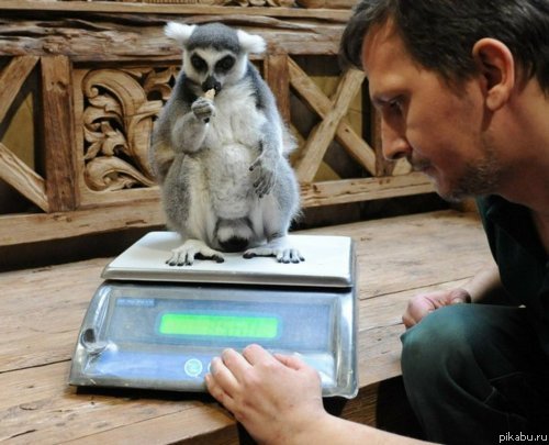 Ну че , сколько я там вешу?