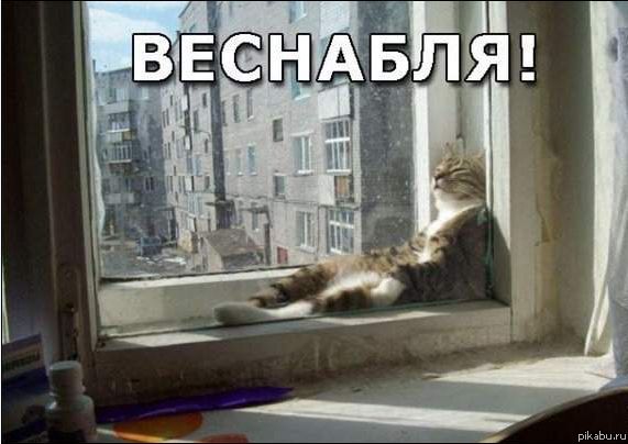 ������� ����