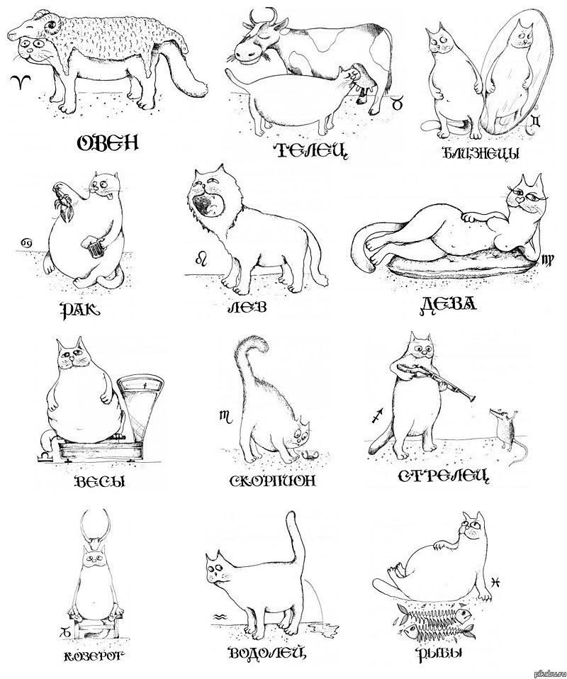 ����� �������