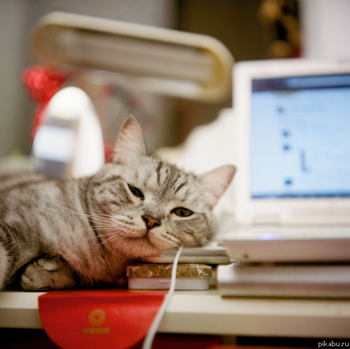 Ты работай, работай.... а я на тебя посмотрю...