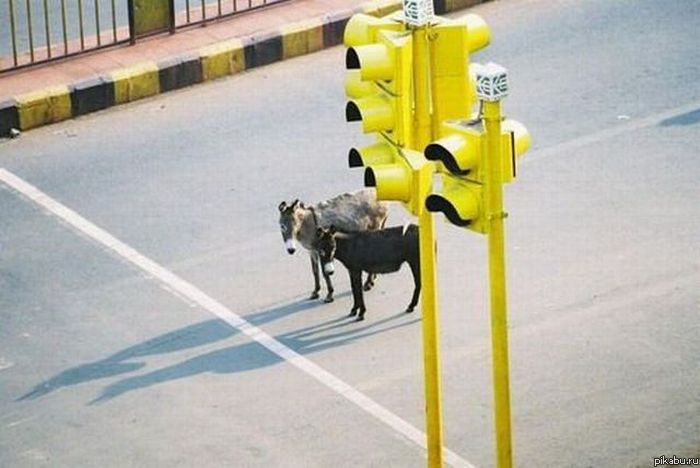 Кауказ дрэг рэйсинг Вася.