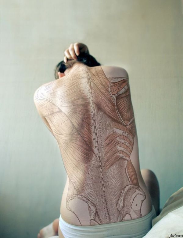 �������� ����