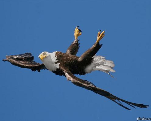 Кто обкуренный?! Я обкуренный?