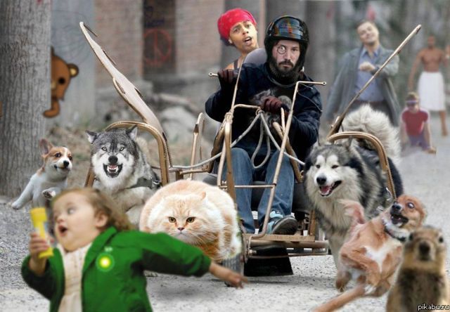 Все то что потрясло онлайн сообщество в 2010 году