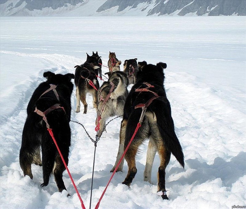 Дороги на Аляске... Как ни смотри, сплошные задницы...
