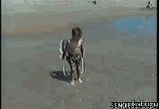    ? ,     