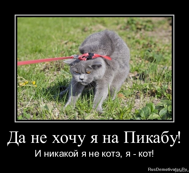 �� �� ���� � �� ������!