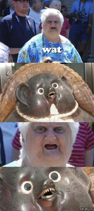 What? 