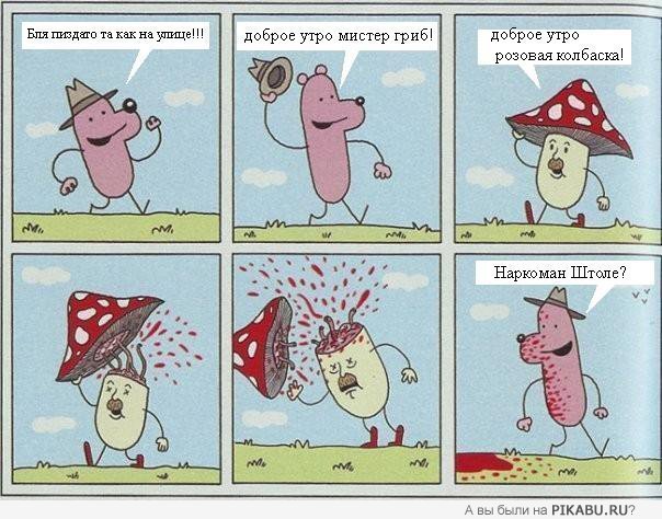 ������ �����.