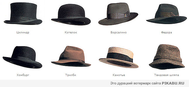 Шляпы | Пикабу