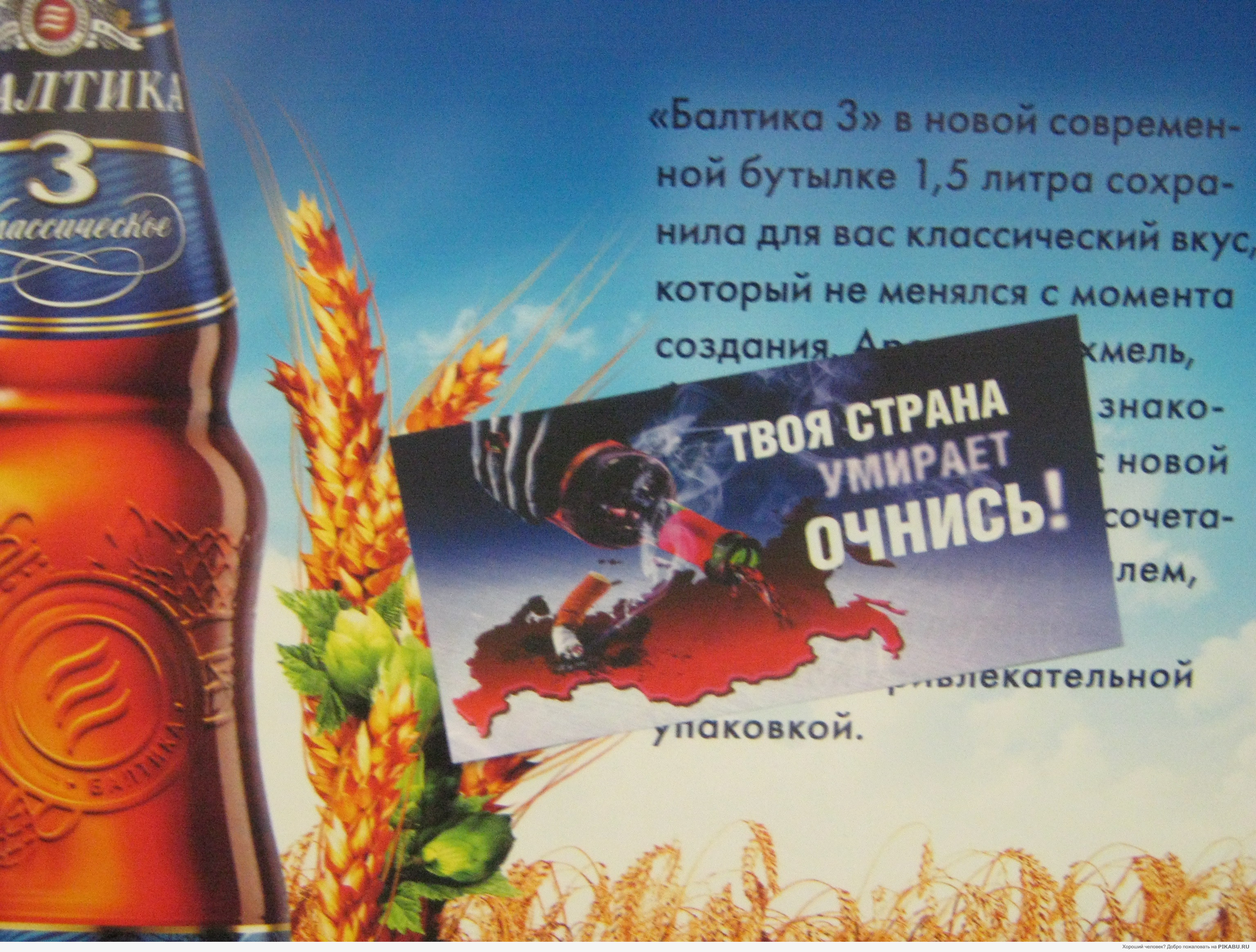 ������� � �����