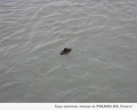 Срочно! Обама официально представил доказательства смерти Бин Ладена!