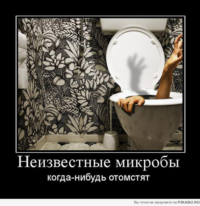 Domestos убивает все известные микробы