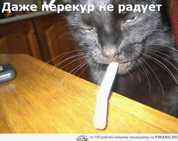 �����)))
