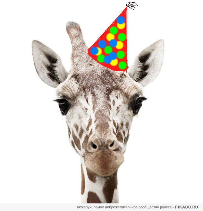 � ���� ��������!!!
