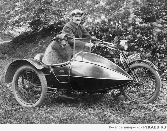 �� �� �����?))
