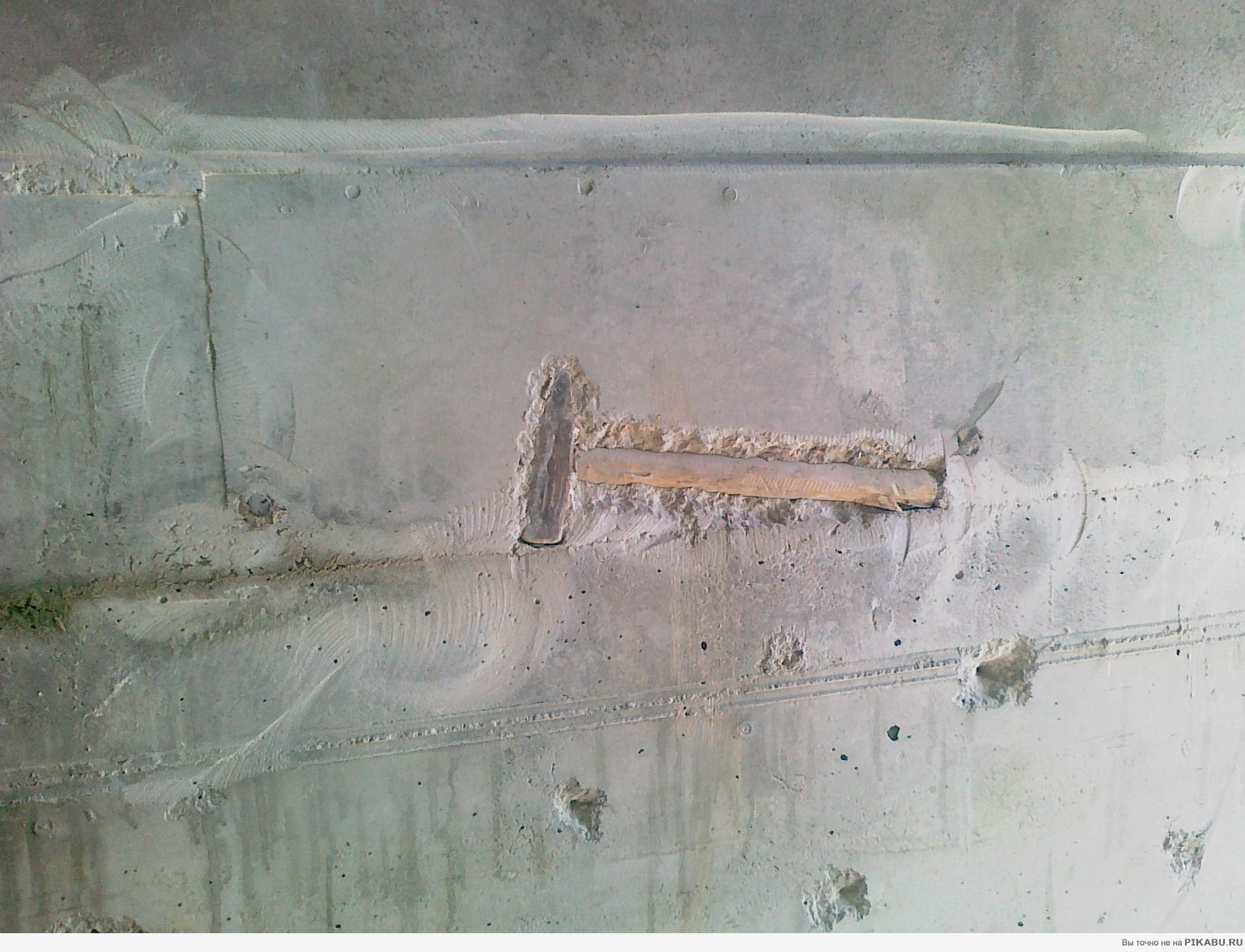 ������ ������ �� ����������.