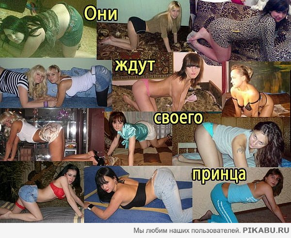 ��� ���� ������ ������