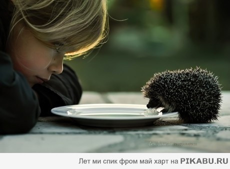 угостила друга