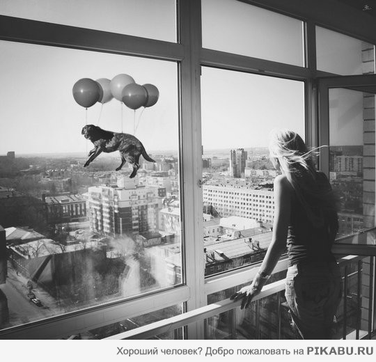 Возможно все! | Пикабу