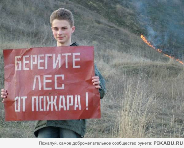 Берегите леса