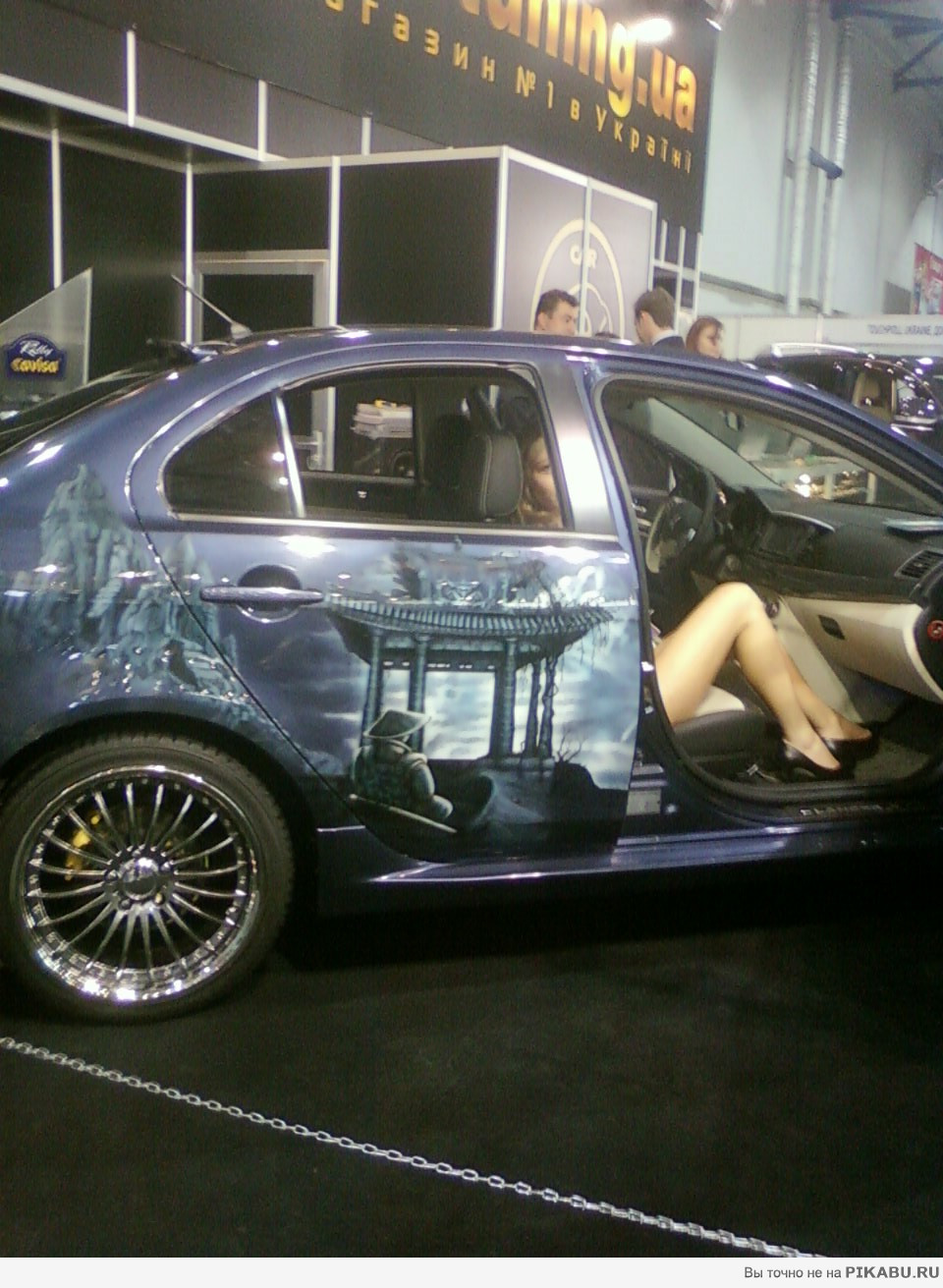 ����������. 