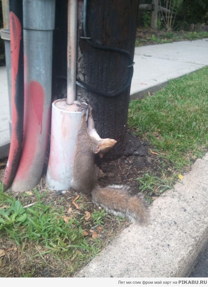  ,         20       ...