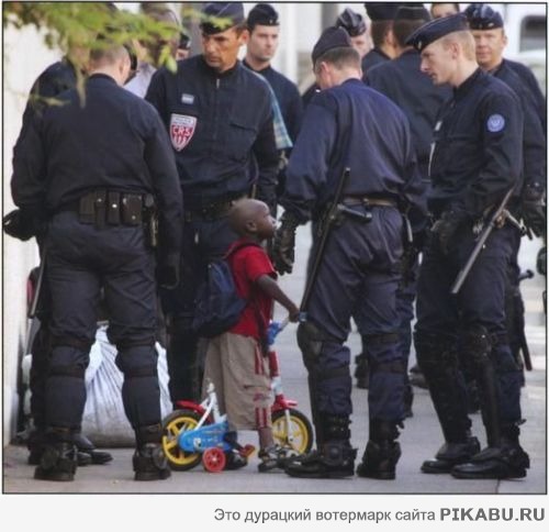 Всегда и во всём виноват чёрный!