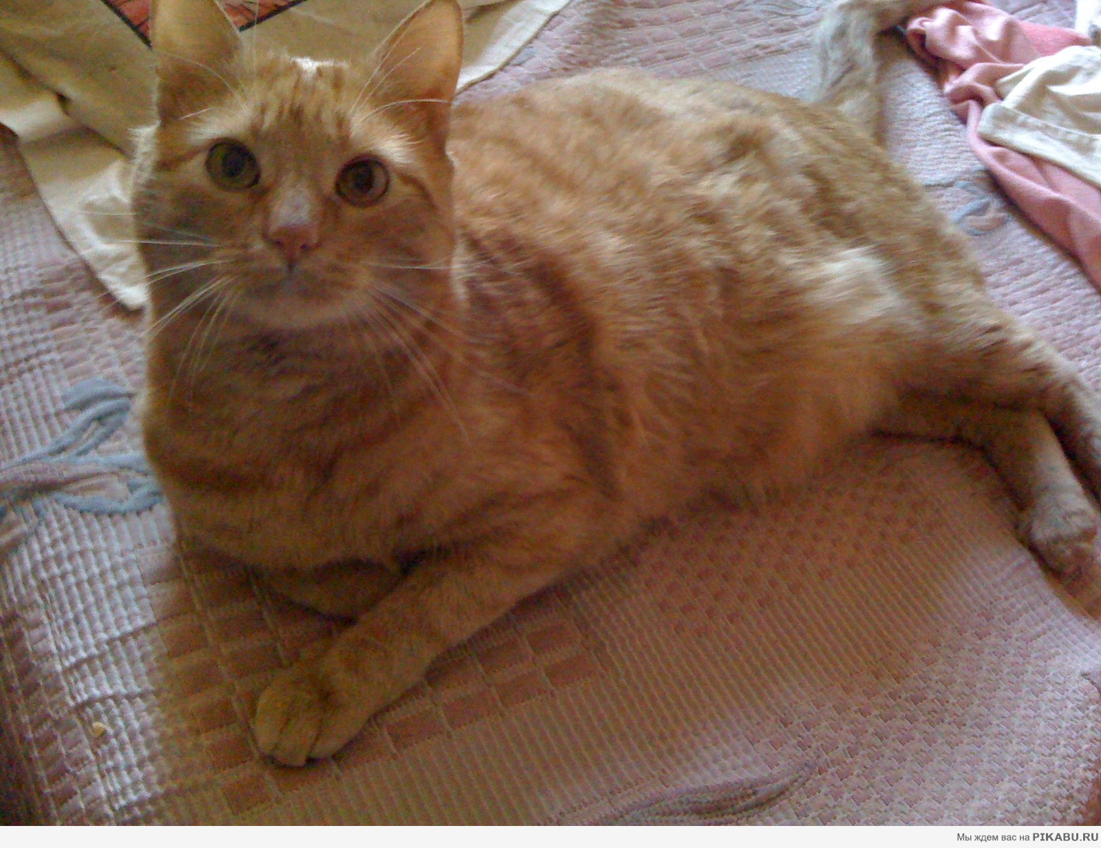 ����� ������� :)