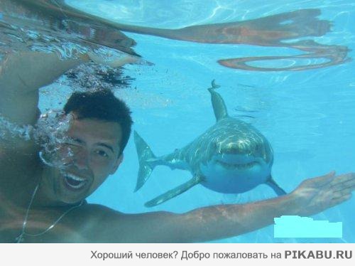 Фото на память